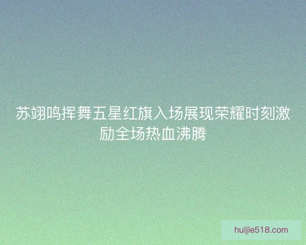 苏翊鸣挥舞五星红旗入场展现荣耀时刻激励全场热血沸腾